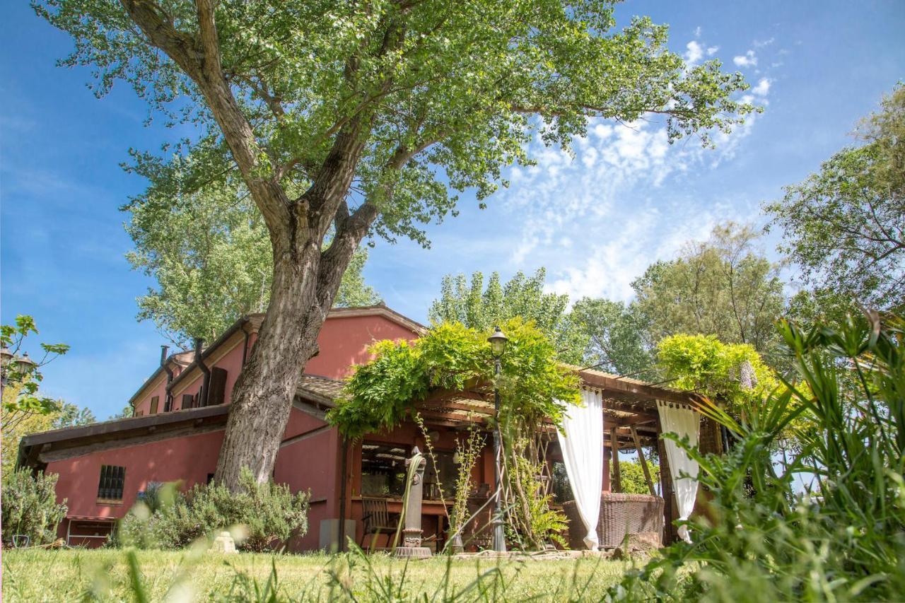 リド・ディ・クラッセ Ca' Barbona Bed & Breakfast エクステリア 写真