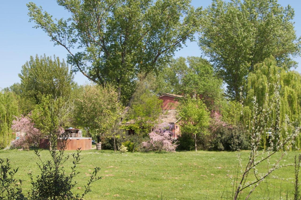 リド・ディ・クラッセ Ca' Barbona Bed & Breakfast エクステリア 写真