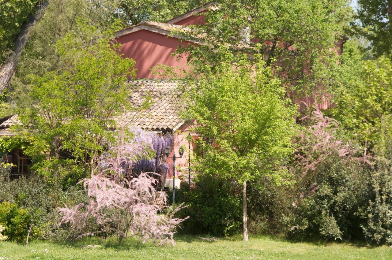 リド・ディ・クラッセ Ca' Barbona Bed & Breakfast エクステリア 写真